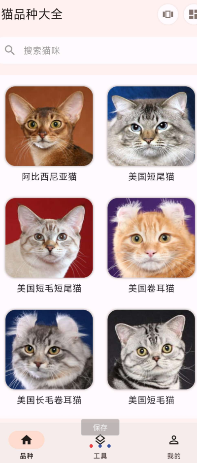 猫咪品种大全app 最便捷的养猫知识和资源